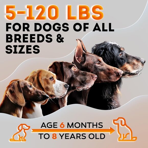 Stop Woofer - Ultrasonic Dog Trainer Whistle - Picture 5 of 9